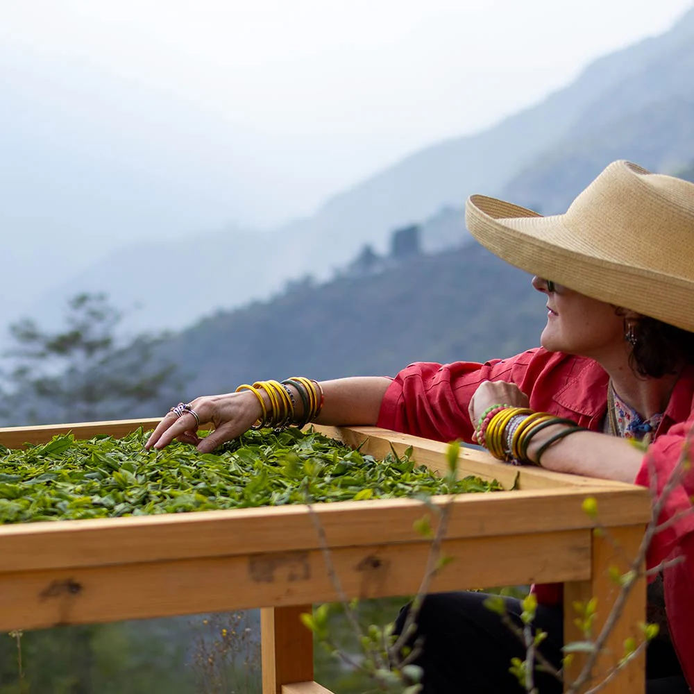 Fair Trade Loose Leaf Tea